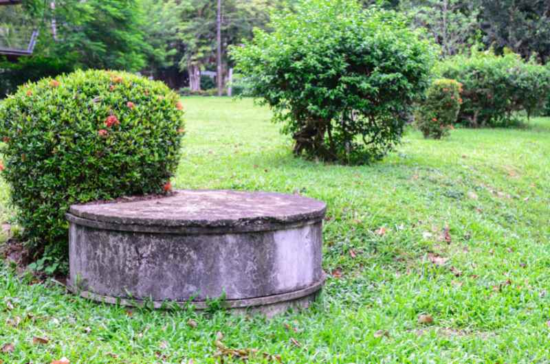 Abwasser im Garten entsorgen