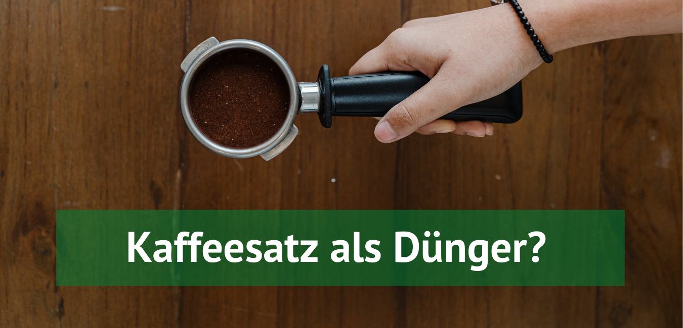 Kaffeesatz-als-Duenger