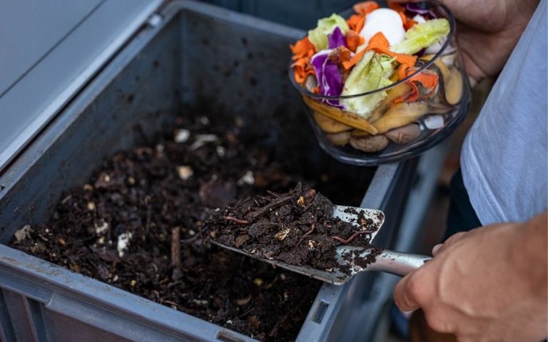 Kompost richtig anlegen im Komposter.