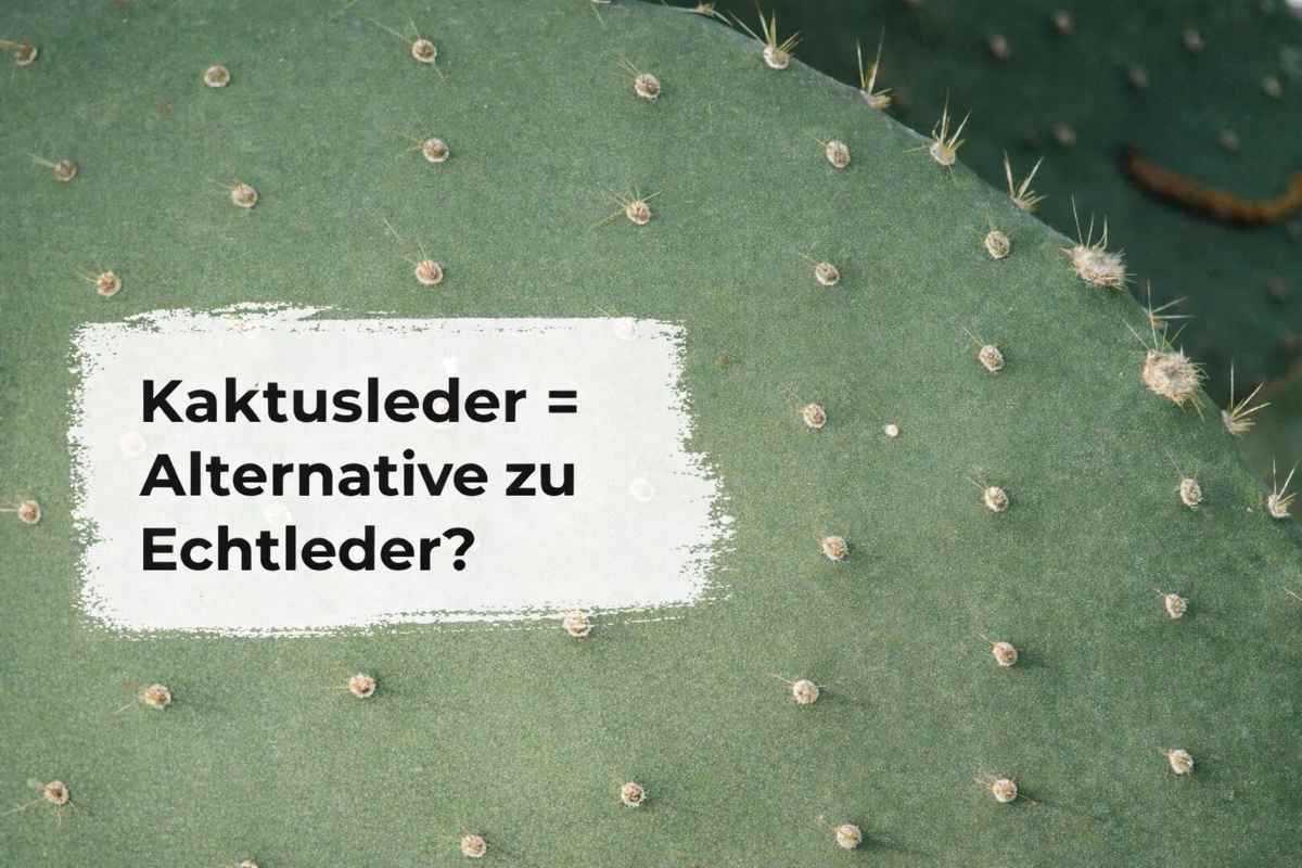 Kaktusleder als Alternative zu Leder